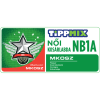 NB I. A Women