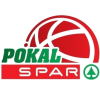 Slovenian Cup