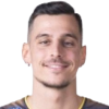 Mirza Alibegovic