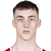 Ivan Bogdanovic