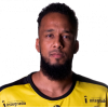 Luiz Muller