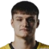 Viktor Lukic-Gavric