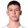 Dominik Dolic