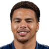 Matt Bradley