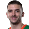 Rok Radovic