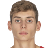 Roko Prkacin