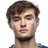 P. Wojcik