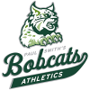 Paul Smith's Bobcats