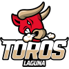 Toros Laguna