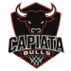 Capiata Bulls