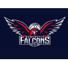 Newcastle Falcons Nữ