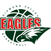 Diamond Valley Eagles