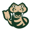 Saskatchewan Rattlers