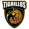 Tigrillos de Antioqui