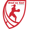 Brod na Savi W