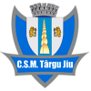 CSM Târgu Jiu