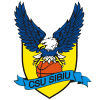 CSU Sibiu