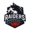 Raiders Basket