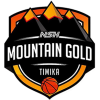 NSH Mountain Gold