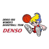 Denso Iris W