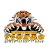 Centrum Tigers