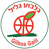 Hapoel HaEmek