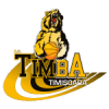 Timba Timișoara