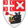 Radnicki Kragujevac W