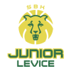 Junior Levice