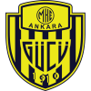 Ankara DSI