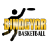 Binagyar