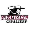 Virginia's-Wise