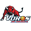 Toros de Aragua