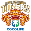 Davao Tigers