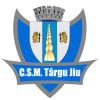 ACS Targu Jiu