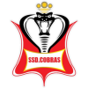 Cobra Sport