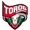 Toros del Chiriqui