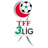 3. Lig Nhóm 1