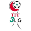 3. Lig Group 4 logo