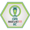 Copa Santa Catarina logo