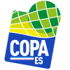 Copa Espirito Santo logo