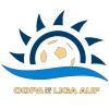 Copa de la Liga AUF