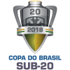 Cúp U20 Brasil