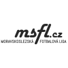 3. MSFL