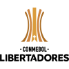 Copa Libertadores