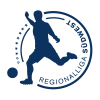 Regionalliga Sudwest logo