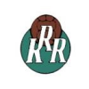 Reykjavik Cup