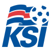 Fotbolti.net Cup