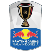 Piala Indonesia