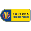 Polish Cup